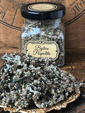 Bylica Pospolita – OCHRONA oczyszczanie, ochrona, intuicja, moc rytualna – kadzidło- słoik 120 ml