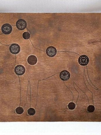 Tablica czakralna dla psa pies reiki do wahadła